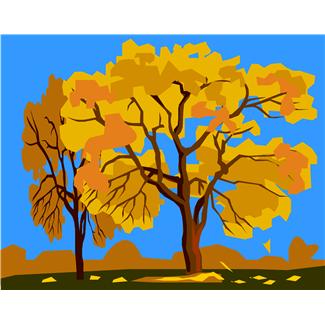 Fall Color